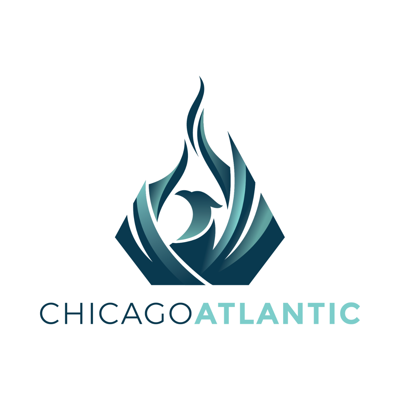 Chicago Atlantic Group, LLC